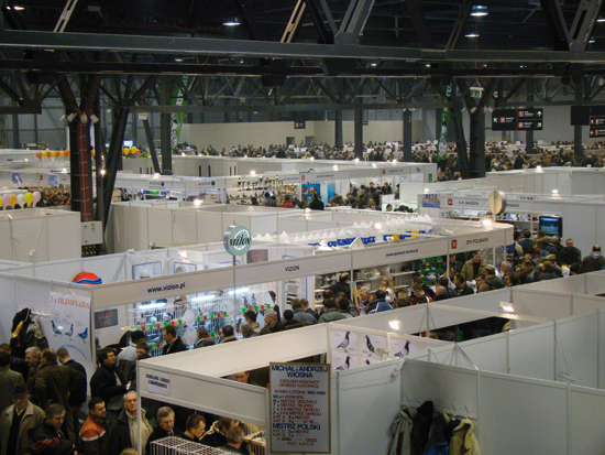 Expo Gołębie 2011