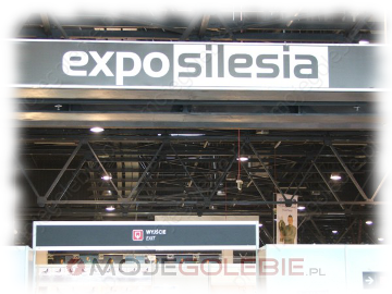 Expo Gołębie 2012